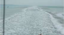 Ice breaking for sea traffic